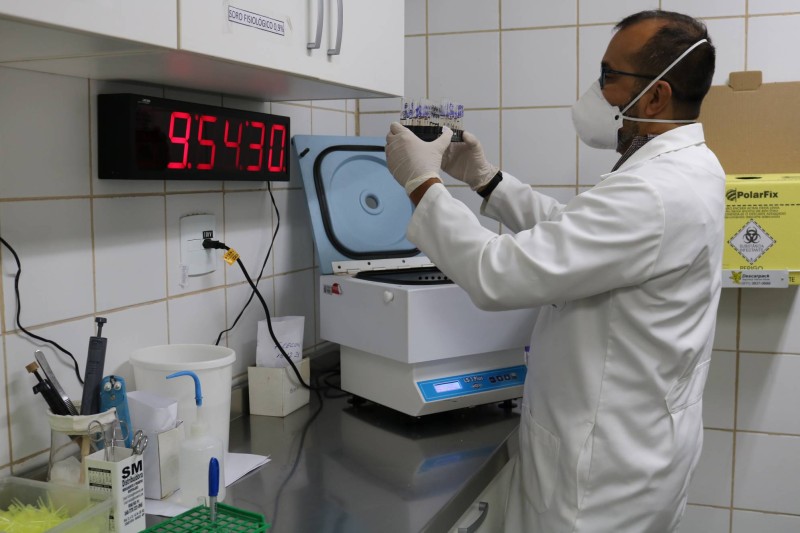 Doação de sangue ajuda a salvar vidas de pacientes com câncer, alerta FCecon