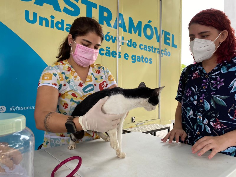 Castramóvel realizou mais de 1,8 mil cirurgias em três meses de funcionamento