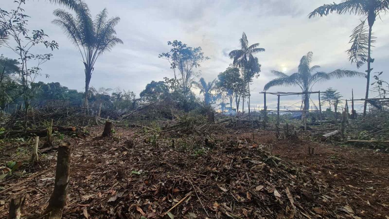 PMAM detém dois homens por crime ambiental em Área de Proteção Ambiental na zona norte de Manaus