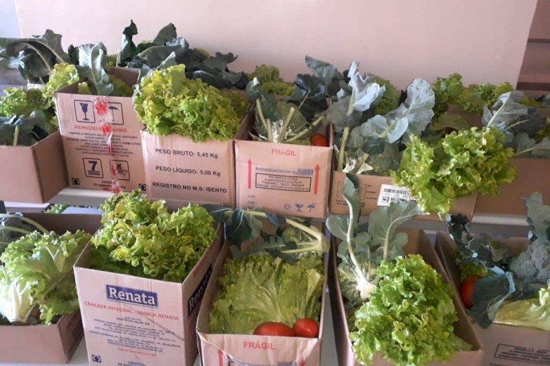 Estado já entregou mais de R$ 40 milhões em alimentos às famílias de alunos