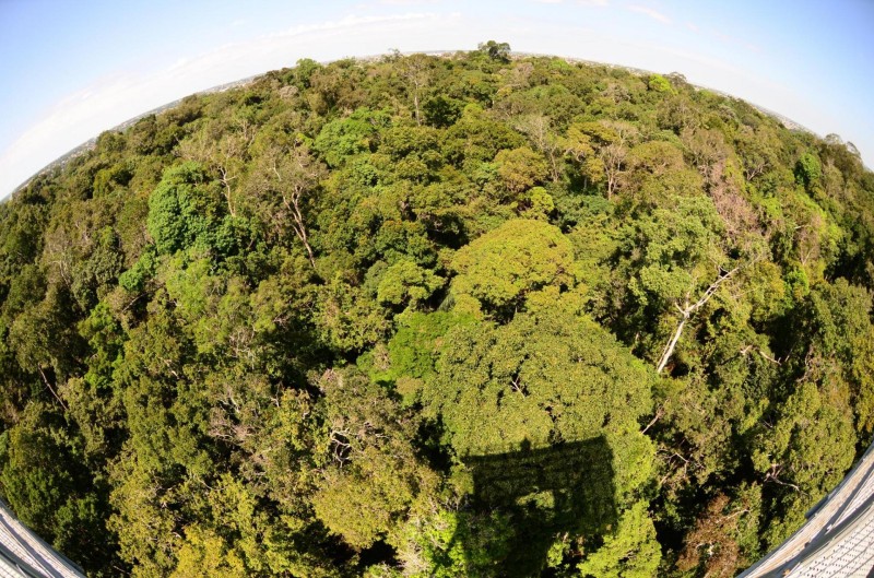 Governo do Amazonas amplia metas ambientais com a Coalizão Under2