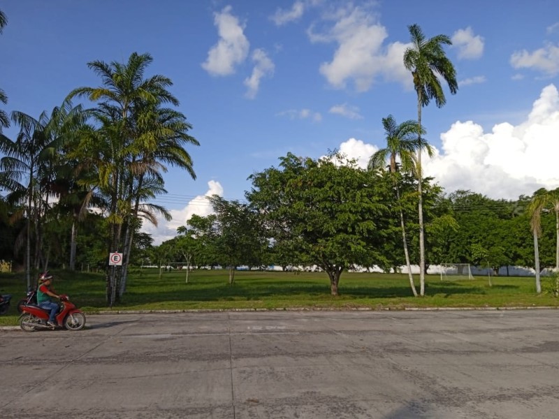 Estudantes mapeiam áreas verdes para orientar moradores sobre preservação ambiental em Tabatinga