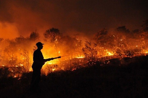 Com o apoio do REM, órgãos estaduais e federais integram ações para o período de emergência ambiental
