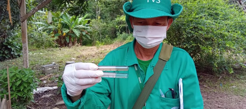 Dengue: Informe epidemiológico divulga cenário no Amazonas nesta quinta-feira