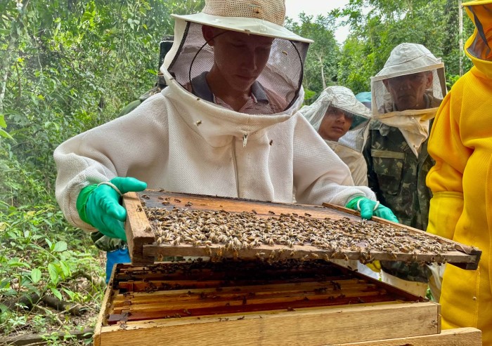 Em Epitaciolândia, governo realiza segundo módulo de curso de apicultura