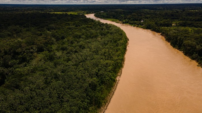 Focos de queimadas no Acre diminuem mais de 70% em quase cinco meses