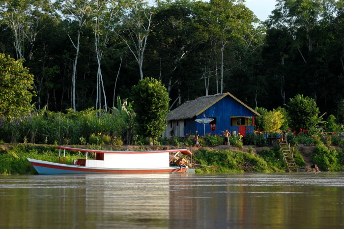 Governo promove workshop sobre mercado de carbono e programa de REDD+ Jurisdicional neste domingo