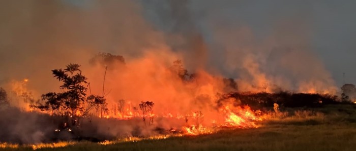 Governo do Acre lança a campanha Respire Vida: Combata as Queimadas e o Desmatamento