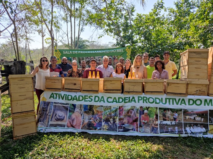 Parceria entre Secretaria de Agricultura e Ibama beneficia produtores de mel