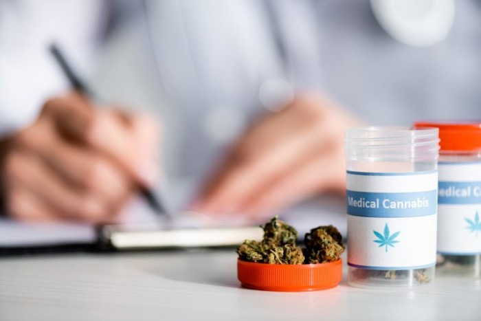 Cadeia produtiva da Cannabis para fins medicinais é tema de audiência na próxima terça