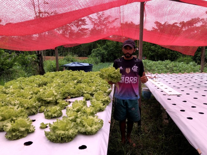 Governo incentiva cultivo de hortaliças com entrega de cobertura plástica para estufas
