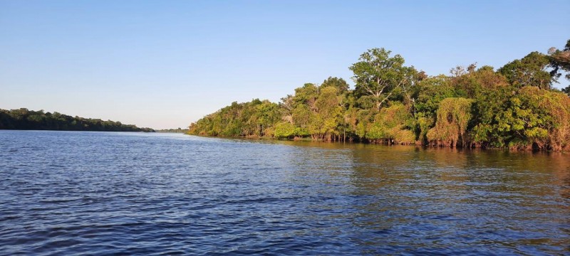 Workshop on-line celebra 20 anos da criação da Reserva da Biosfera da Amazônia Central