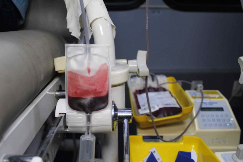 Servidores da SSP-AM, Seinfra e Sejusc realizaram doação de mais de 30 bolsas de sangue ao Hemoam