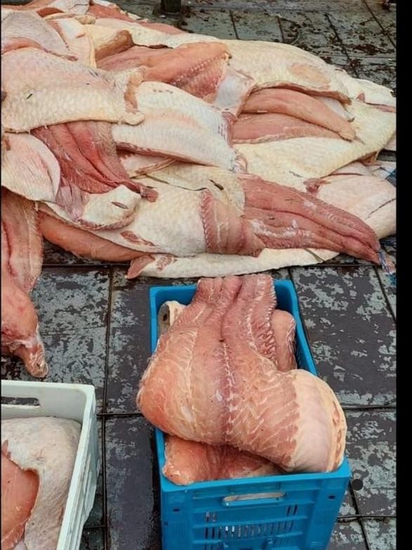 Polícia Militar apreende duas toneladas de pescado ilegal no porto São Raimundo