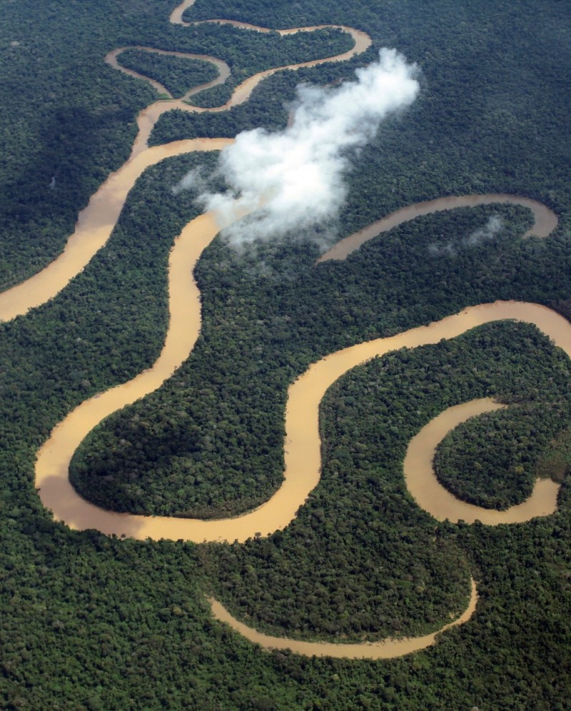 Sema e CI Brasil buscam empresa para realizar inventário florestal em Maués